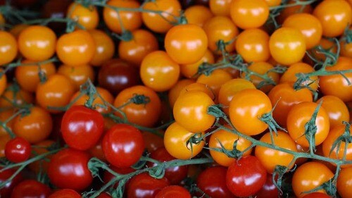 Tomates