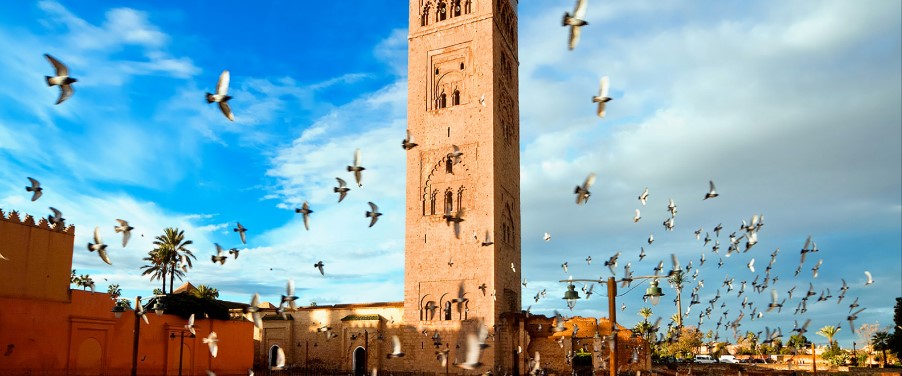 Marakech tour