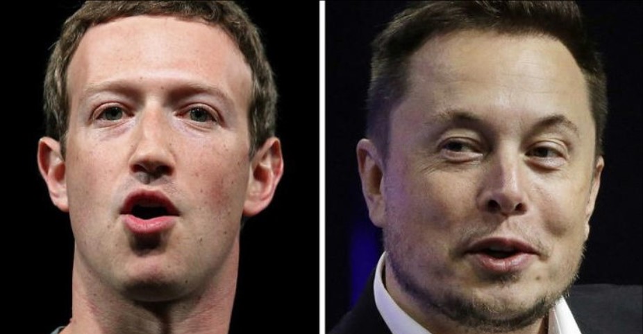 Zuck Elon