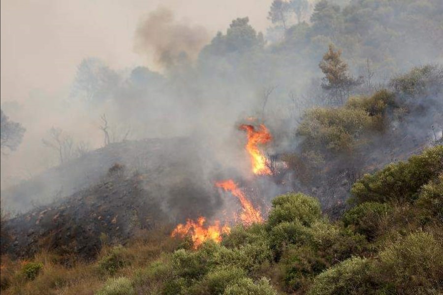 Incendie algerie