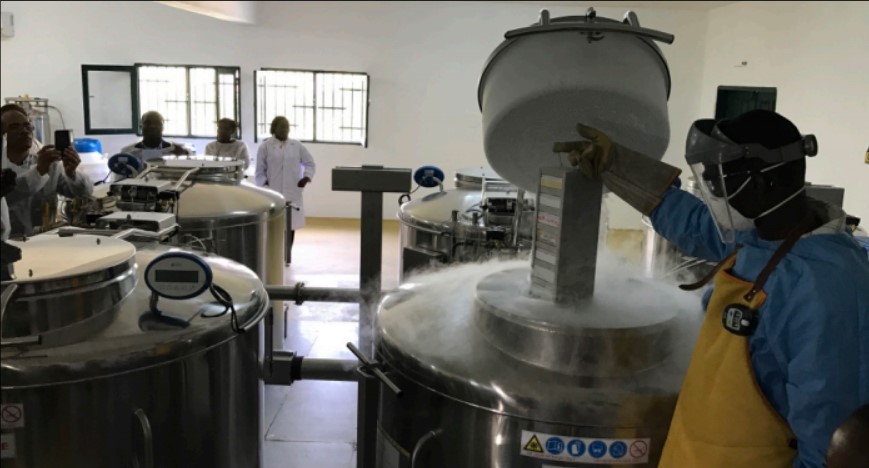 Pasteur biobanque